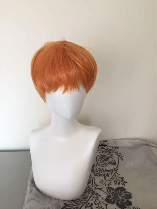 Perruque OTHER   Harsh pelucheux confirme - Ref 2609099 Image 13