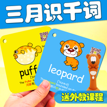 Tongmeng childrens enlightenment English word card Childrens point reading English letters Early Education flash card Primary school student word card