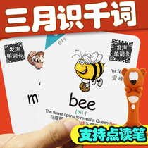 Early childhood enlightenment English word card Primary school English Word card Childrens teaching aids Baby early education Literacy card Flash card