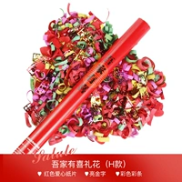 Моя семья счастлива (модель H)