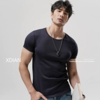 Royal Blue 【T2501 модернизированный хлопок Combed】