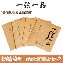 One string and one product play pipa string 1234 string Yang Jing supervised the adult professional examination string imported light string wrapped string