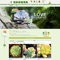 A55 Taobao shop decoration template plant potted flower grass green ornamental flower meat template permanent free