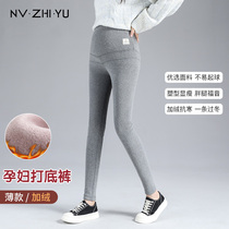 Womens Royal pregnant womens leggings wear spring and autumn large size plus velvet cotton trousers autumn pregnant womens trousers autumn and winter clothes