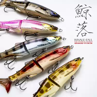 Midnight Raven Ravencraft Whale-Fall Trembling pendulum slow sinking swimming bait Luya double section fish bait