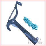 Высокие ветви, резка высоких поэта