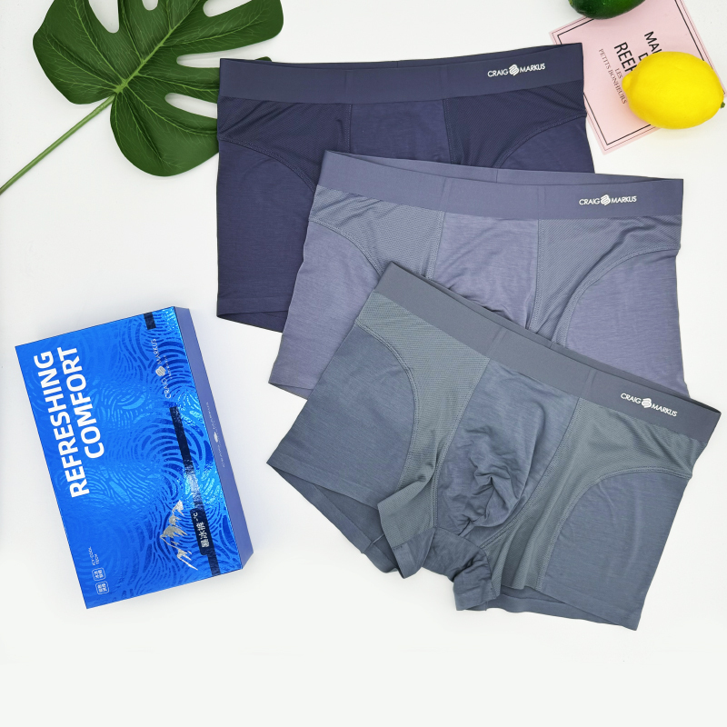 Authentic cm Ice Pants Men's Premium Underwear Seamless Modal Mesh Cool Silky Breathable Boxer Shorts