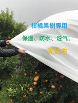 Fruit tree anti-cold cloth Orchard citrus insulation film waterproof and breathable anti-freeze agricultural non-woven bag tree cloth anti-chill cloth