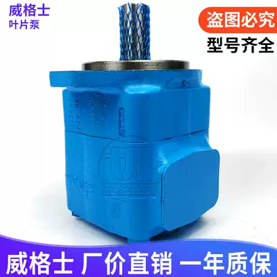 VICKERS Wigs series 25V-35V-45V-2520VQ-3520VQ-4535VQ double vane pump