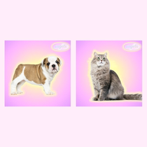 American retro 90s Korean ins Wind steam wave dreamy cat puppy poster decoration sticker photo background painting