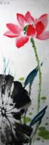 Pure hand-painted Chinese painting 24*68 boutique ink painting lotus fresh and pleasant