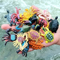 仿真迷你小乌龟海龟螃蟹8只套装幼儿园儿童玩具海洋静态动物模型