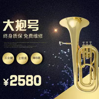Jinyin JYEU-E100 Down B tune Sanlijian upper bass Lacquered gold Big Huguenot