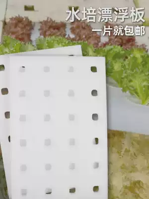 Hydroponic sponge floating board greenhouse planting foam board fish pond fish vegetable symbiosis soilless cultivation equipment planting floating board