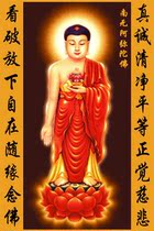 The knot of red coat Amitaba Buddha holds a lotus flower with couplets of couplets like a look at the break and ease with the edge of Buddha