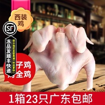 Frozen suit chicken whole chicken fresh chicken baby chicken chicken roast chicken non-marinated about 420g hand-picked chicken