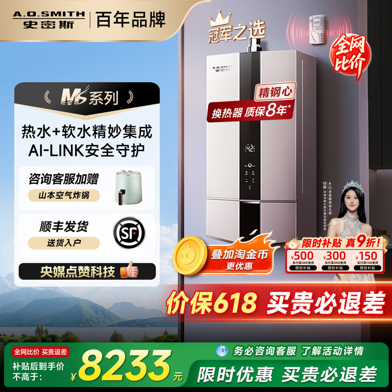 Ao Smith Ms Series Gas Stainless Steel Water Heater Soft Water Beauty Smart Rscd