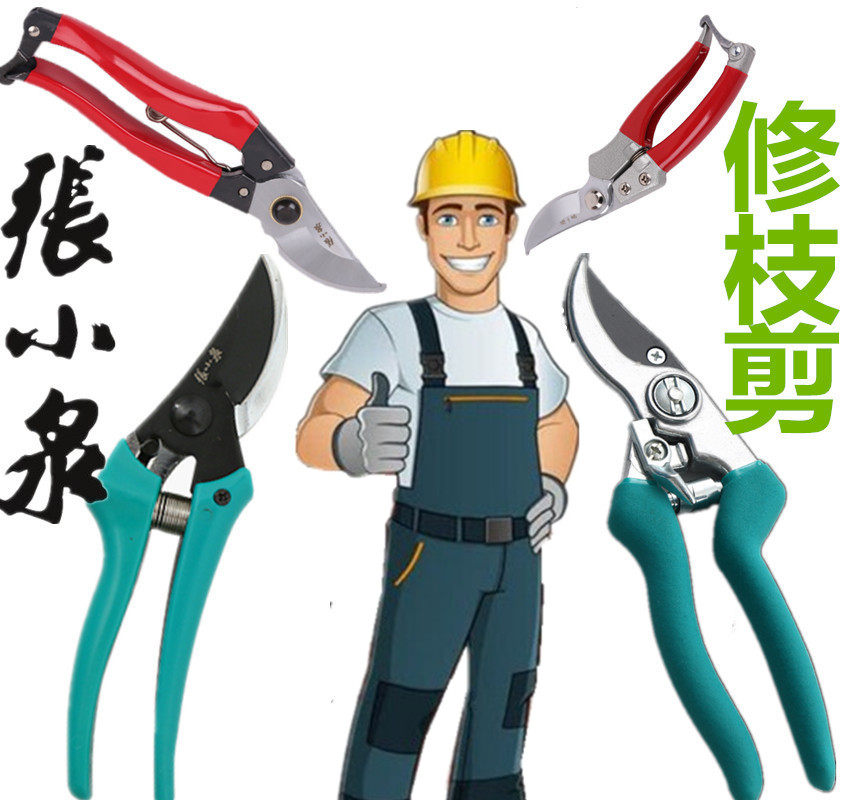 Zhang Koiquan Mining Garden Tool Flower Cutting Scissor Scissor Branch Fruit Tree Flower Art Green Branch