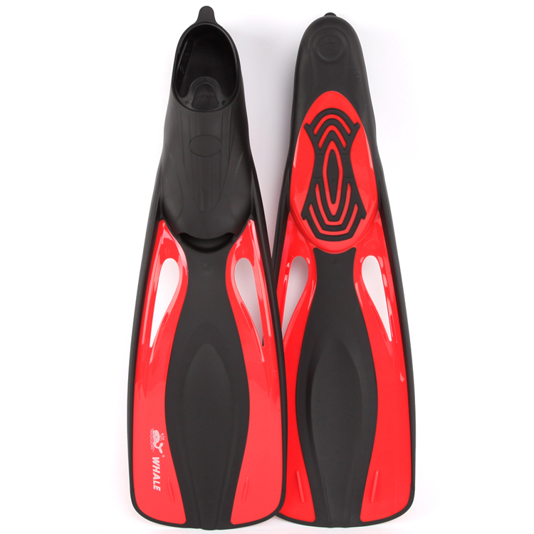 Плавник горбатого кита. Кит горбач. Ласты кита. Кит горбач хвост. Ласты кита.