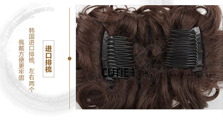 Extension cheveux - Chignon - Ref 245030 Image 42