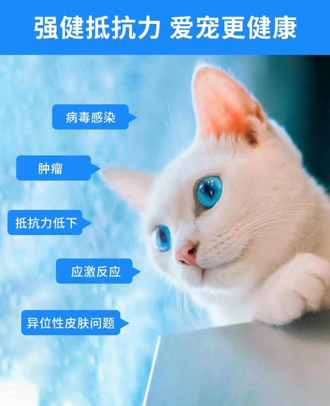 Fengzyi II, dạng bào chế nhỏ, vật nuôi, mèo và chó, tăng cường miễn dịch, sưng, dị ứng da, 30 viên - Cat / Dog Health bổ sung