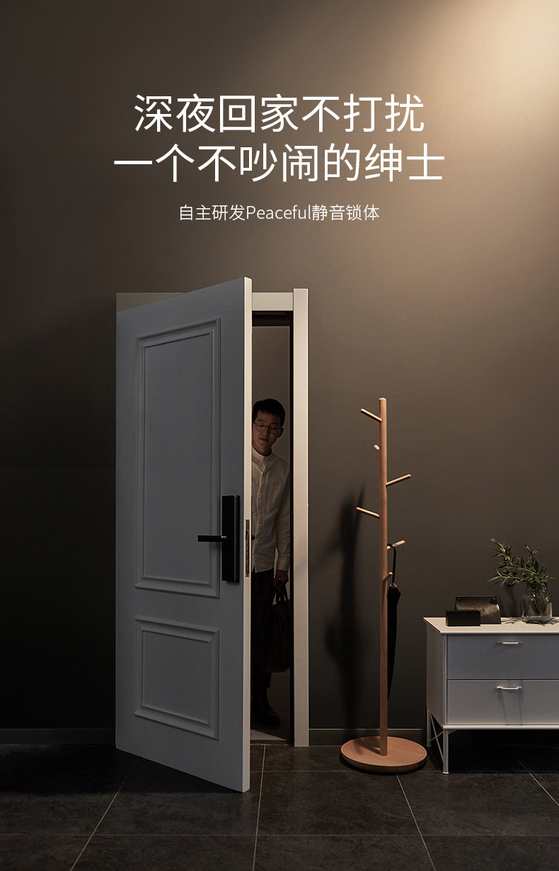 德施曼 小嘀 V5 智能指纹锁 四合一解锁 图13