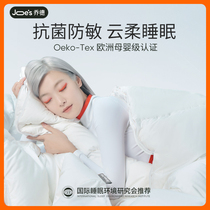 JOES JOES Yun-soft temperature is heated by spring and autumn quilt single double thickened four seasons of general feet heating core