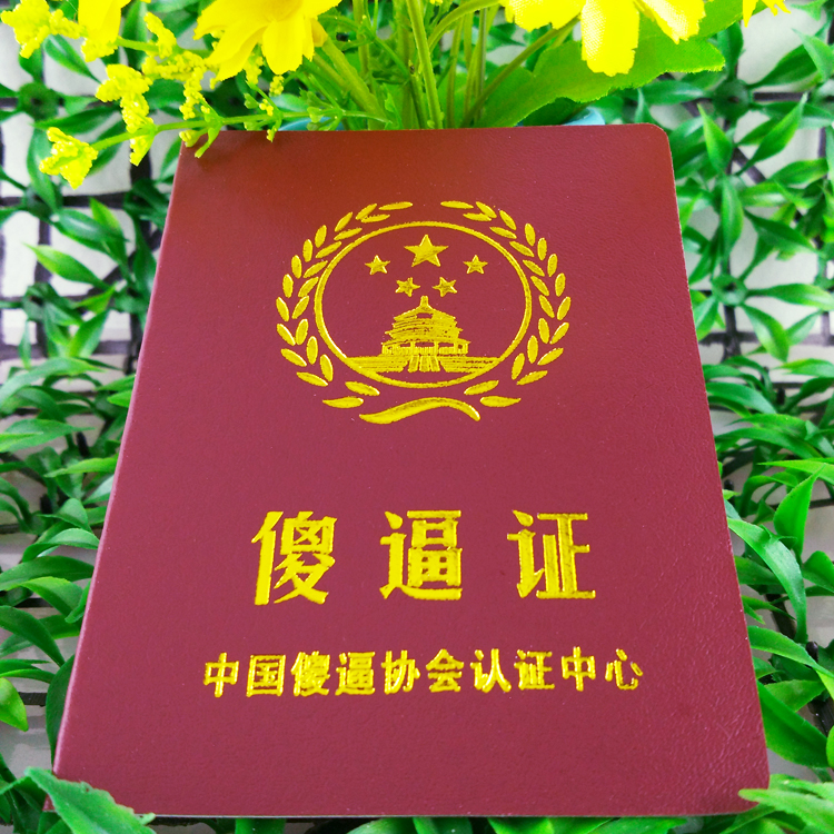 Silly Forcing Certificate Funny Certificate Personality Creativity Custom Whole Person Prank to blame Gift Gift Gift