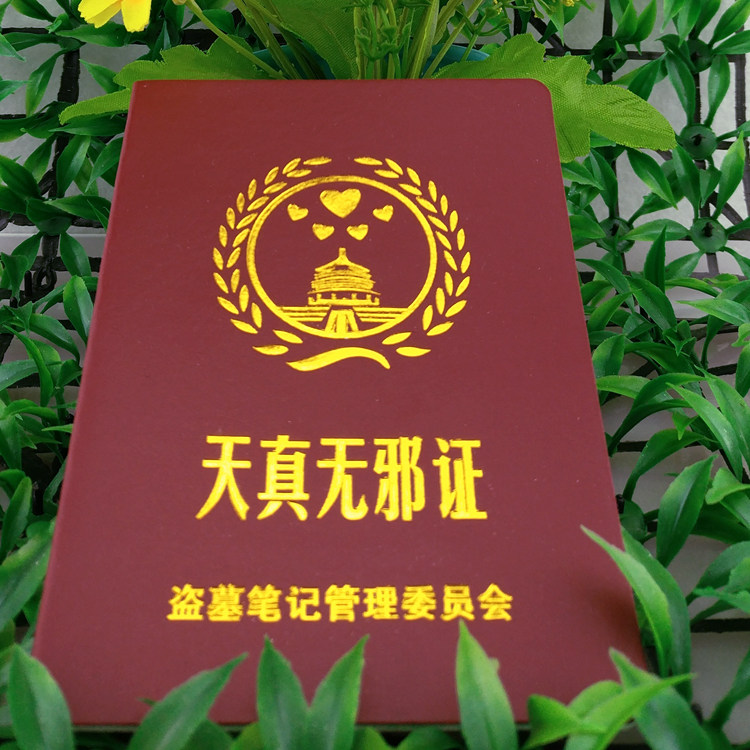 Certificate of innocence Funny certificate Personality creative certificate Tricky funny gifts Strange gifts