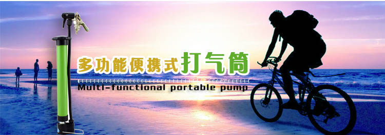 Pompe à vélo .LINXI.NAME - Ref 2389350 Image 6