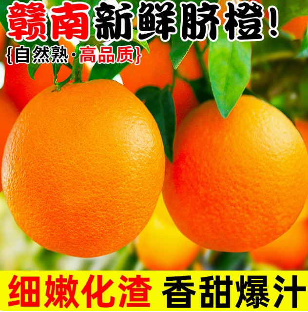 赣南脐橙农夫果园