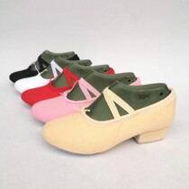 Adult Men And Women Indoor Dance Shoes Body Training Shoes in heel Soft-footy Shoe Cat Paw Shoes Teacher Shoes Bughead Dance Shoes