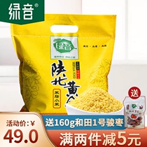 Yellow millet Shaanxi specialty special rice oil Millet Northern Shaanxi specialty farm grain 2 5kg package