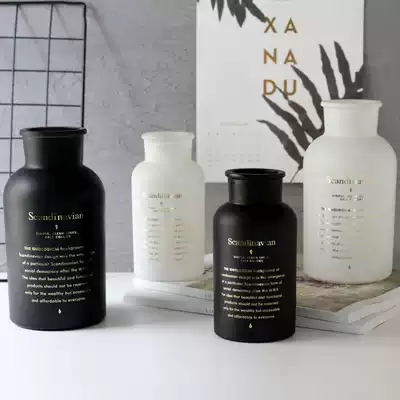 Printing vase simple Net red black home decoration livable style ornaments gilded hydroponic glass vase