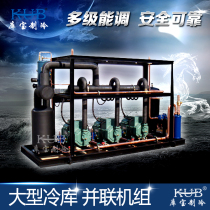 Brand new factory direct sales parallel unit for cold storage medium and high temperature 0 degrees vegetable fresh storage 4000 cubic fresh storage