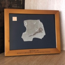 New single-plate fish fossil ornaments popular science of paleontological specimens in Chaoyang Liaoxi other crafts and gifts collection and appreciation