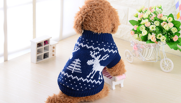Quần áo chó sữa nhỏ siêu nhỏ thú cưng mùa thu và áo len mùa đông Mèo hơn gấu Chihuahua quần áo hai chân phổ quát - Quần áo & phụ kiện thú cưng áo dài cho chó