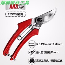Alice (ARS) 120DX prunes of prunes cut branches cut branches garden special shears fruit trees Cut branches