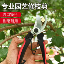 Made in Taiwan Sagawa Keiji 818 rough scissors flower and wood pruning tools fruit tree scissors garden shears