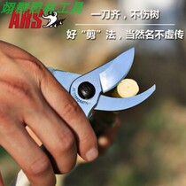 Alice (ARS)130DX original imported pruning fruit tree shears scissors bonsai tree flower branch scissors