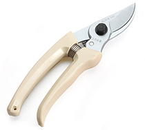 Sagawa Ji Taiwan imported stainless steel pruning shears 130 small fruit tree scissors garden trees bonsai rough shears