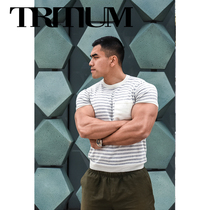 LIANG PIN Jacky Liangpin Tritium mens striped knitted cotton casual round neck T-shirt slim fit 02007