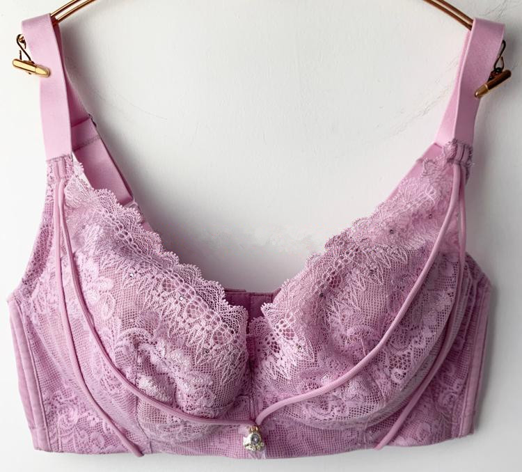 Leitney Silk bra 1 2 cups sexy side push to woo breast lace short lingerie F14562019 new