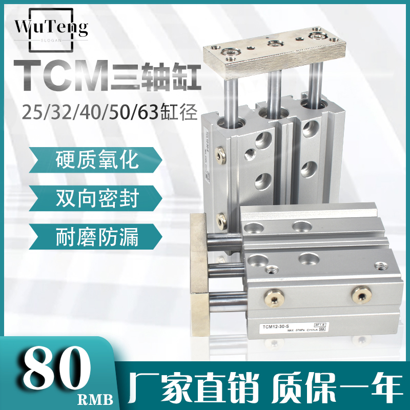 Pneumatic belt guide rod cylinder TCM25 32 40 50 63-20SX50SX75SX100S three-axis three-pole MGPM