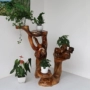 Rễ khắc khung gốc gỗ cơ sở phòng khách trang trí tự nhiên gỗ rắn gốc cây bonsai ban công log mẫu - Các món ăn khao khát gốc bàn ghế gốc cây gù hương	