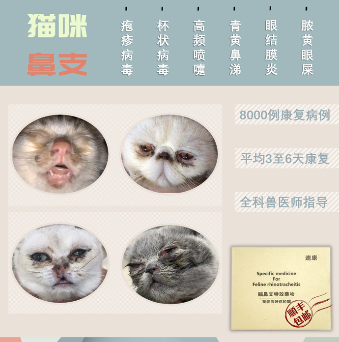 Speed Conn Cat Nasal Branch Therapy Drug Package Special Effects Eye Drops Atomization Kitty CATWALK Infection Sneeze Runny Nose