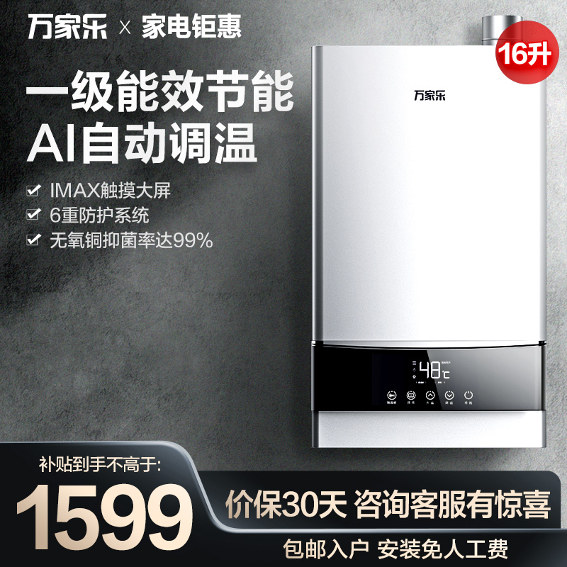 Home Gas Energy Efficiency Smart Thermostatic Gas Water Heater Household Gas Condensing Strong Platoon 16 Liters 16R3