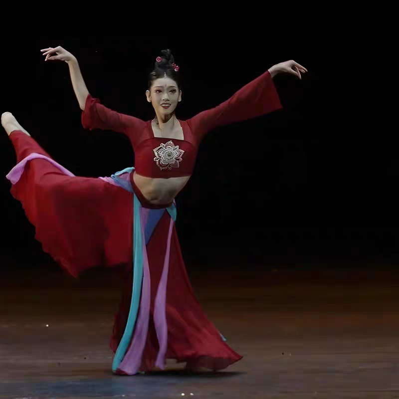 Classical Dance Peach and Plum Cup Lotus Award """"""Yun Xiang Nishang"""" Dance Performance Costumes Solo Dance Elegant Art Examination Costumes for Women
