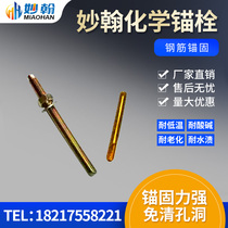 Domestic chemical anchor Chemical expansion anchor bolt Screw Chemical expansion bolt M8M10M12M16M30