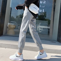 Светло -серая рутина